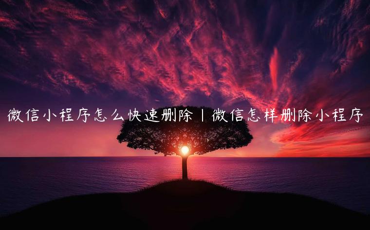微信小程序怎么快速删除|微信怎样删除小程序