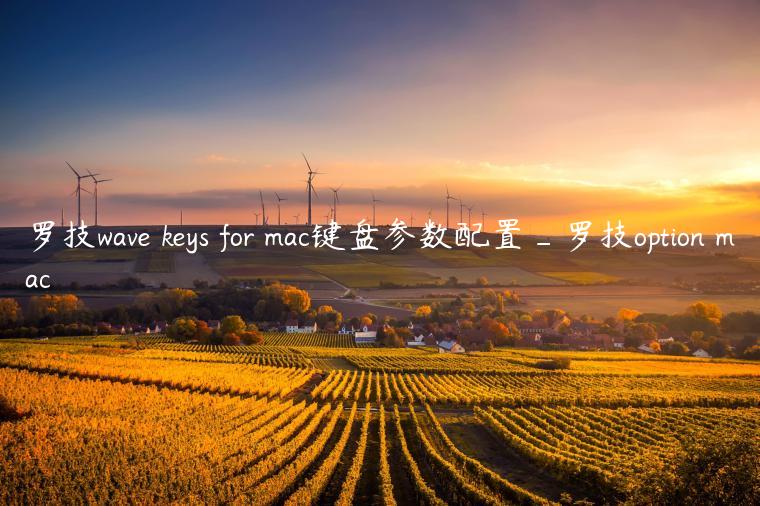 罗技wave keys for mac键盘参数配置_罗技option mac