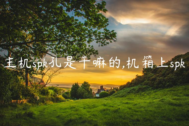 主机spk孔是干嘛的,机箱上spk