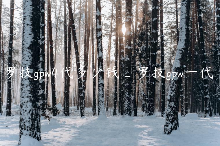 罗技gpw4代多少钱_罗技gpw一代