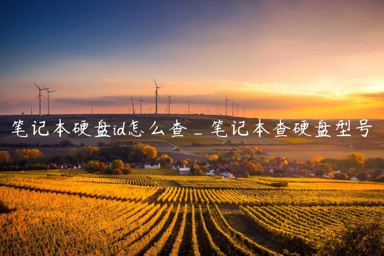 笔记本硬盘id怎么查_笔记本查硬盘型号