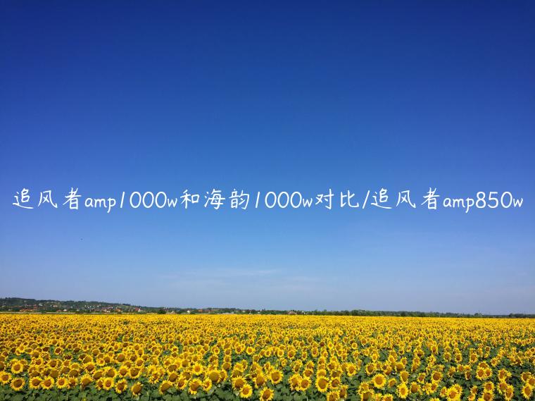 追风者amp1000w和海韵1000w对比/追风者amp850w