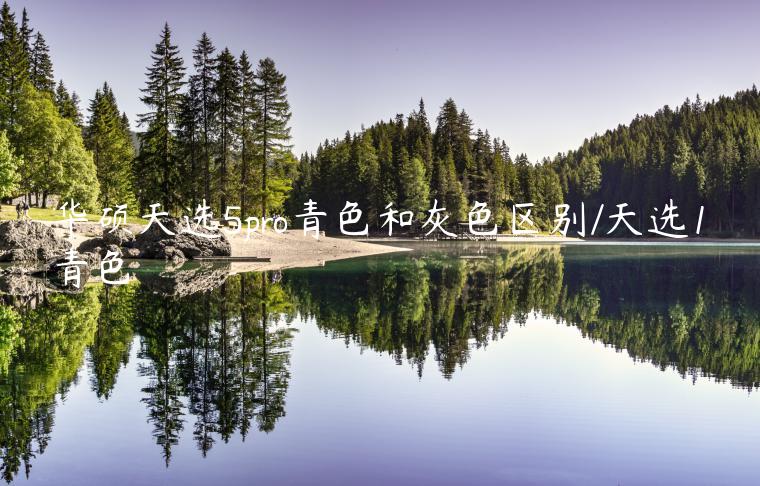 华硕天选5pro青色和灰色区别/天选1青色