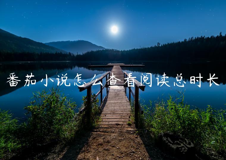 番茄小说怎么查看阅读总时长