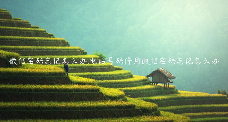 微信密码忘记怎么办,电话号码停用微信密码忘记怎么办