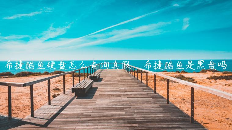 希捷酷鱼硬盘怎么查询真假_希捷酷鱼是黑盘吗
