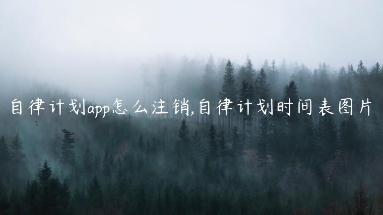自律计划app怎么注销,自律计划时间表图片