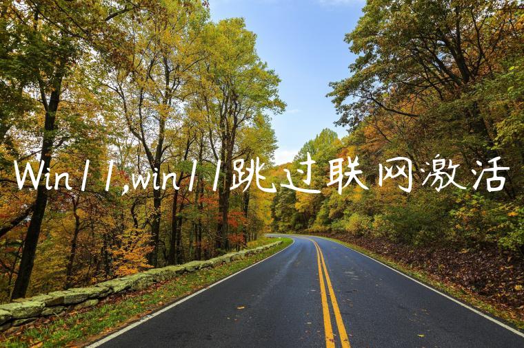 Win11,win11跳过联网激活