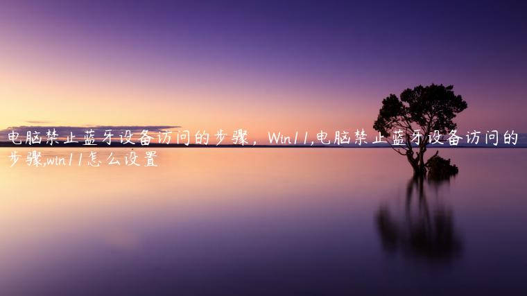 电脑禁止蓝牙设备访问的步骤，Win11,电脑禁止蓝牙设备访问的步骤,win11怎么设置