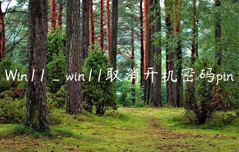 Win11_win11取消开机密码pin