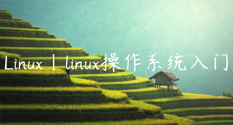 Linux|linux操作系统入门