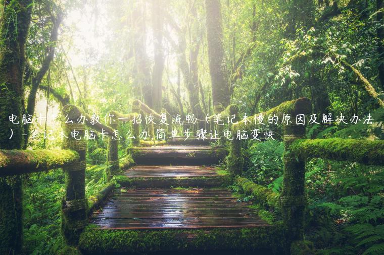 电脑卡怎么办教你一招恢复流畅（笔记本慢的原因及解决办法）-笔记本电脑卡怎么办,简单步骤让电脑变快