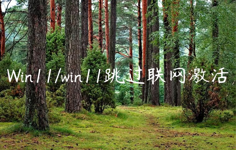 Win11/win11跳过联网激活