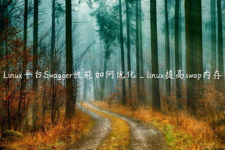 Linux平台Swagger性能如何优化_linux提高swap内存