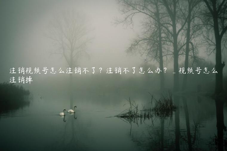 注销视频号怎么注销不了？注销不了怎么办？_视频号怎么注销掉