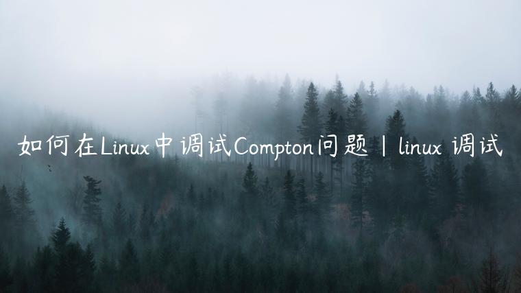 如何在Linux中调试Compton问题|linux 调试