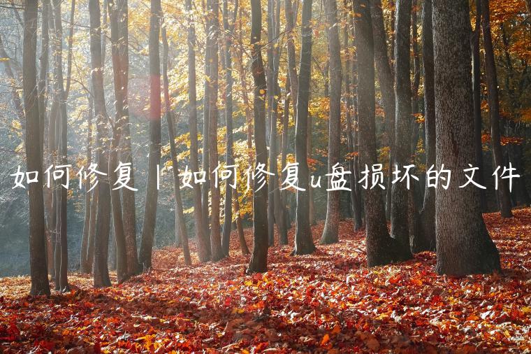 如何修复|如何修复u盘损坏的文件
