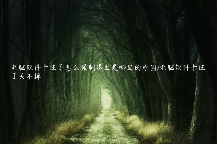电脑软件卡住了怎么强制退出是哪里的原因/电脑软件卡住了关不掉