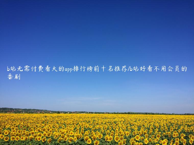 b站无需付费看大的app排行榜前十名推荐/b站好看不用会员的番剧 b站无需付费看大的app排行榜前十名推荐/b站好看不用会员的番剧