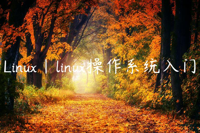Linux|linux操作系统入门
