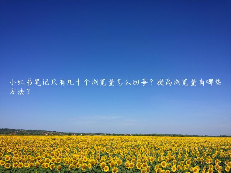 小红书笔记只有几十个浏览量怎么回事？提高浏览量有哪些方法？