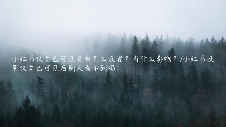 小红书仅自己可见发布怎么设置？有什么影响？/小红书设置仅自己可见后别人看不到吗