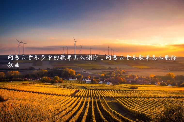 网易云音乐多余的歌单怎么删除_网易云音乐歌单怎么删除歌曲