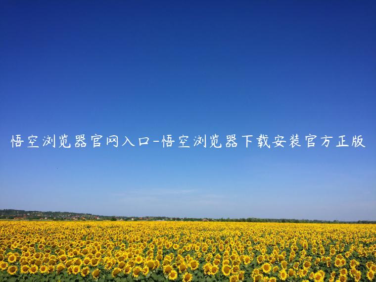 悟空浏览器官网入口-悟空浏览器下载安装官方正版 悟空浏览器官网入口-悟空浏览器下载安装官方正版