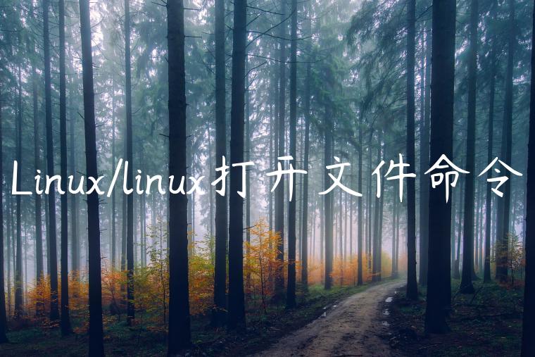 Linux/linux打开文件命令