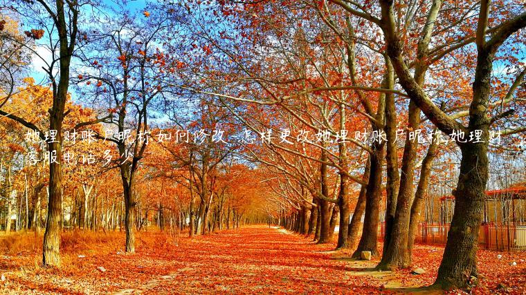 她理财账户昵称如何修改-怎样更改她理财账户昵称,她理财客服电话多少