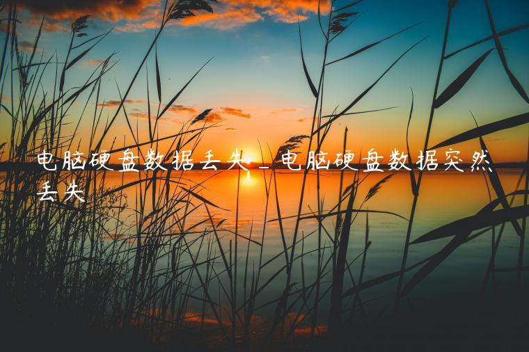 电脑硬盘数据丢失_电脑硬盘数据突然丢失