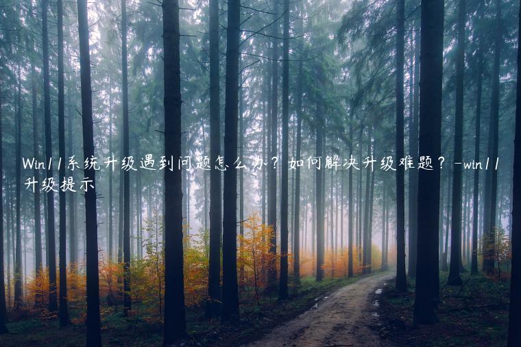 Win11系统升级遇到问题怎么办？如何解决升级难题？-win11升级提示