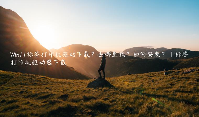 Win11标签打印机驱动下载？去哪里找？如何安装？|标签打印机驱动器下载