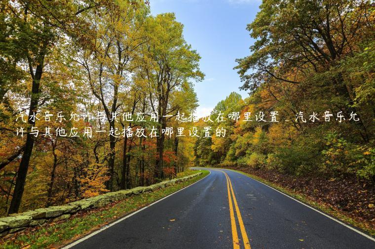 汽水音乐允许与其他应用一起播放在哪里设置_汽水音乐允许与其他应用一起播放在哪里设置的