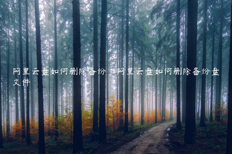 阿里云盘如何删除备份|阿里云盘如何删除备份盘文件