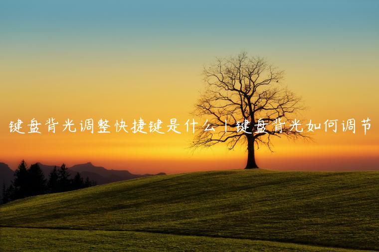 键盘背光调整快捷键是什么|键盘背光如何调节