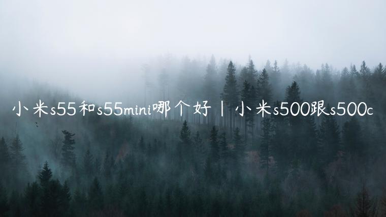 小米s55和s55mini哪个好|小米s500跟s500c