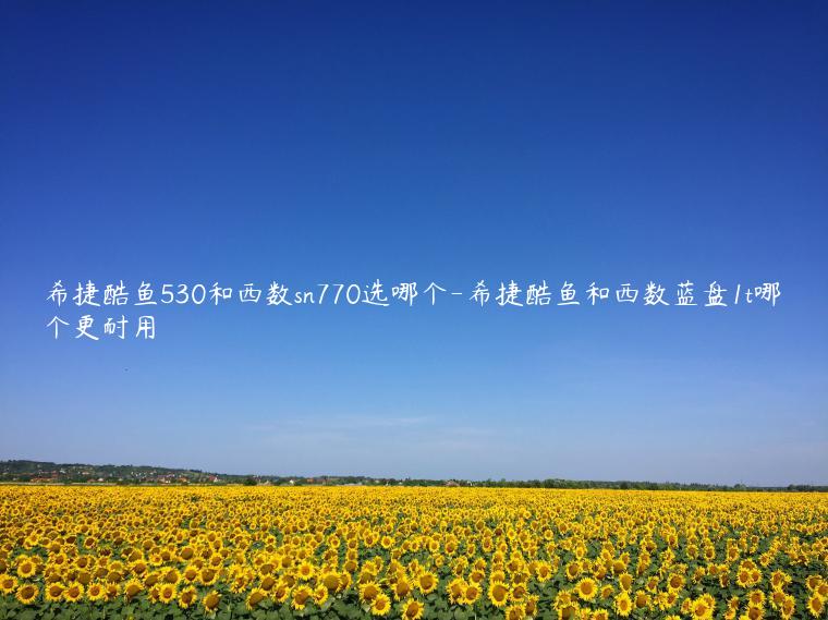 希捷酷鱼530和西数sn770选哪个-希捷酷鱼和西数蓝盘1t哪个更耐用