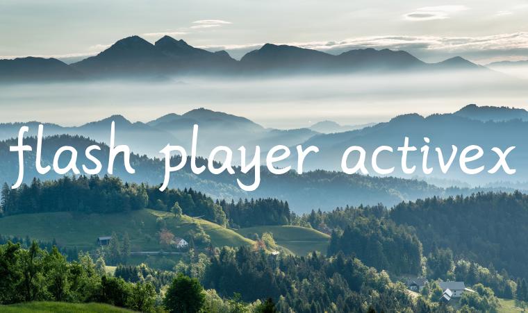 flash player activex