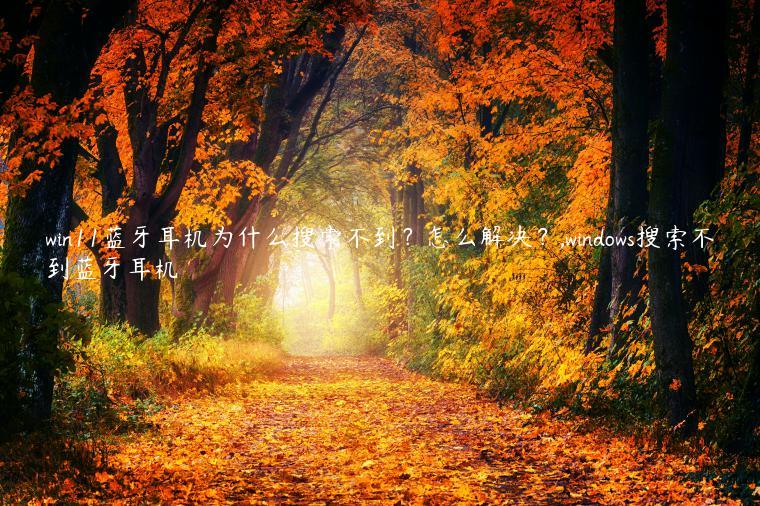win11蓝牙耳机为什么搜索不到？怎么解决？,windows搜索不到蓝牙耳机