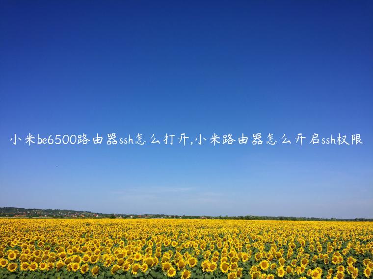小米be6500路由器ssh怎么打开,小米路由器怎么开启ssh权限