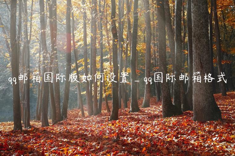 qq邮箱国际版如何设置_qq国际邮箱格式 qq邮箱国际版如何设置_qq国际邮箱格式