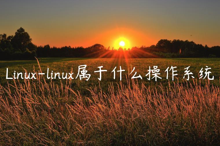 Linux-linux属于什么操作系统