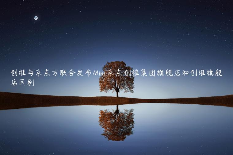 创维与京东方联合发布Mini,京东创维集团旗舰店和创维旗舰店区别