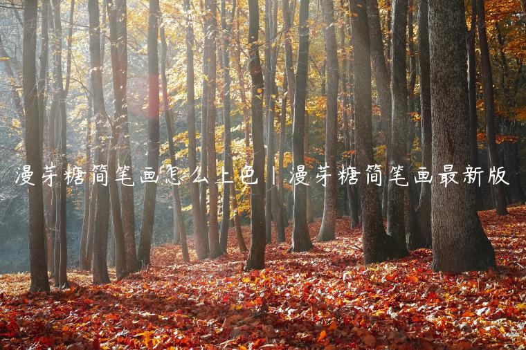 漫芽糖简笔画怎么上色|漫芽糖简笔画最新版