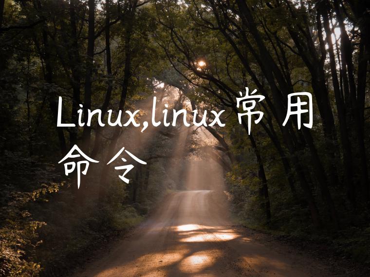 Linux,linux常用命令