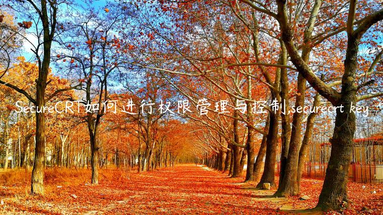 SecureCRT如何进行权限管理与控制,securecrt key