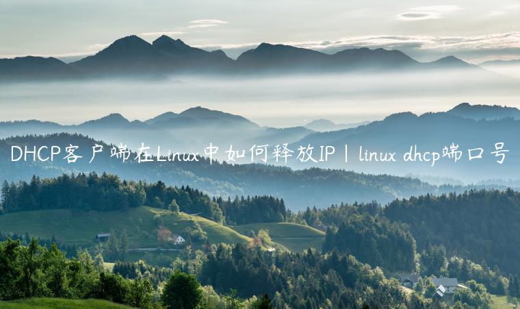 DHCP客户端在Linux中如何释放IP|linux dhcp端口号