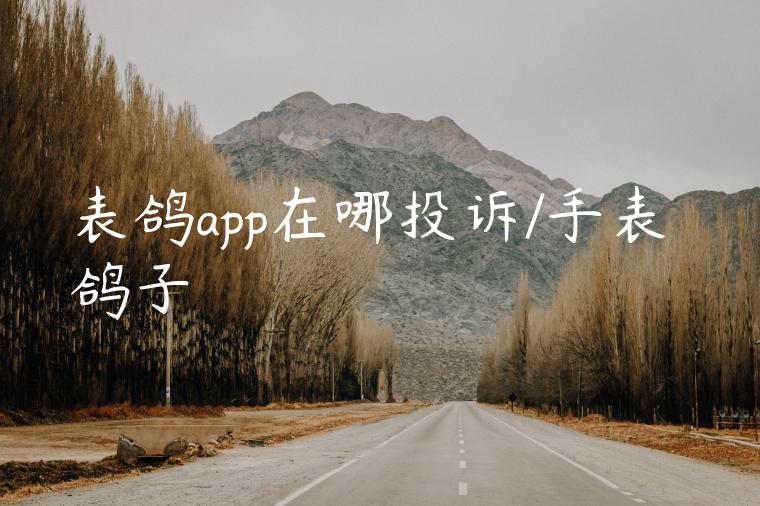 表鸽app在哪投诉/手表 鸽子