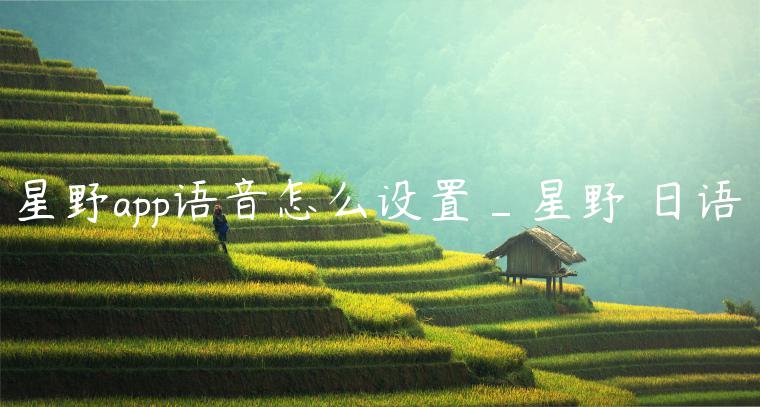 星野app语音怎么设置_星野 日语
